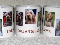 Italian Spinone