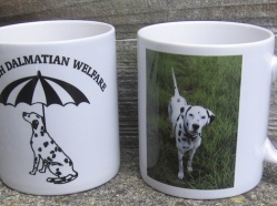 British Dalmatian Welfare