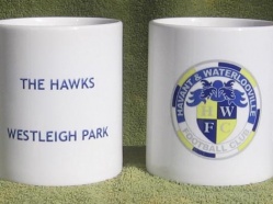 Havant & Waterlooville FC