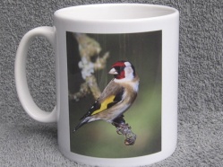 Goldfinch