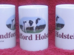 Wyndford Holstiens.