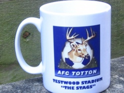 AFC Totton 2012