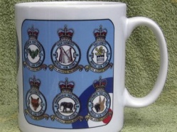 Vulcan Squadrons Mug