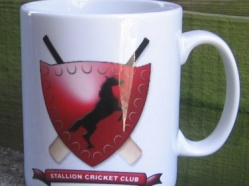 Stallion Cricket Club, Essex