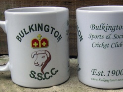 Bulkington Cricket Club