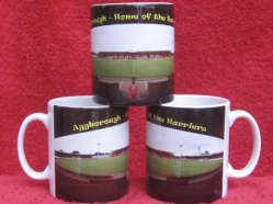 Aggborough - Home of Kidderminster Harriers