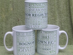 Bognor Regis Town FC 2013