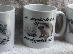 Hedgehog-Mug-1.jpg