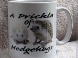 Hedgehog-Mug-4.jpg