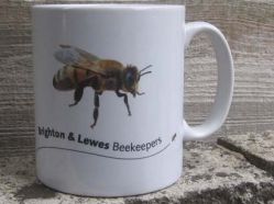 Brighton & Lewis Beekeepers