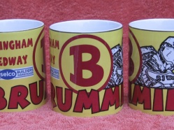 Birmingham Brummies 2014