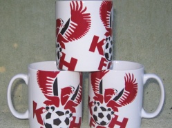 Kidderminster Harriers 2014