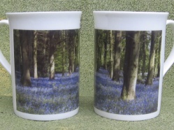 Bluebell wood in Bone China