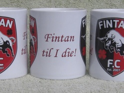 Fintan FC, Cheltenham