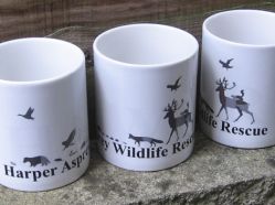 Harper Asprey Wildlife Rescue