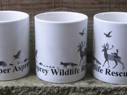 Harper Asprey Wildlife Rescue