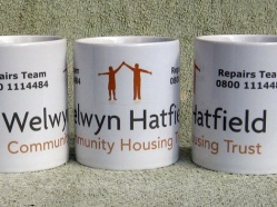 Welwyn Hatfield Community Housing Trust