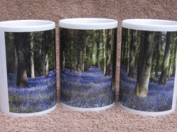 Bluebell Wood in Porcelain on a porcelain mug from the Cotswold Collection