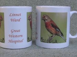 Great-Western-Hospital-Linnet-Ward.jpg