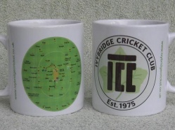 Ivybridge-Cricket-Club-2014.jpg