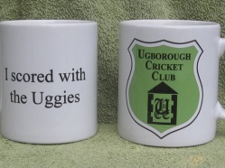 Ugborough-Cricket-Club-named.jpg
