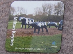 Milton Keynes Cows