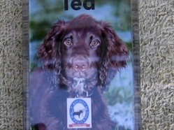 Ted - Police Dog (retired)