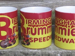Birmingham Brummies 2015