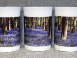 Bluebell Carpet from The Cotswold Collection 
