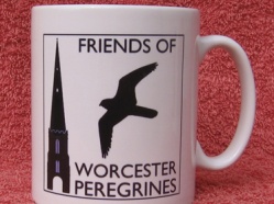 Friends of Worcester Peregrines