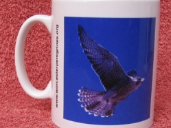 Peregrine mug