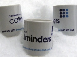 Professional-Callminders-2013-1.jpg