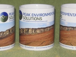Peak-Environmental-2011-2.jpg