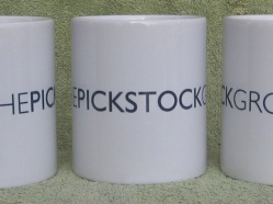 The-Pickstock-Group.jpg