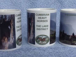 Cumbrian Heavy Horses