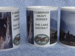 Cumbrian Heavy Horses