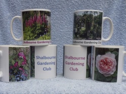 Shalbourne Gardening Club