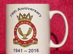 Air Training Corps Anniversary