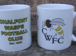 Chalfont Wasps FC