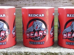 Redcar Bears 2016