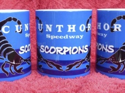 Scunthorpe Scorpions 2016