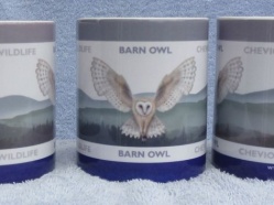 Barn Owl by Stuart Black