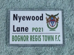 Bognor-Regis-Town-FC-2016-13.jpg