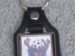 AFC-Totton-Keyring-2016-2.jpg