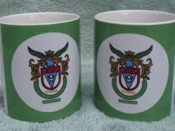 Bognor Regis Town FC 2016