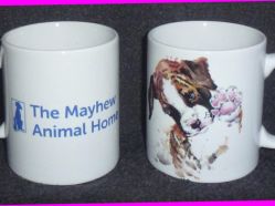 Matt-Hepplewhite-The-Mayhew-Animal-Home-Dogs.jpg