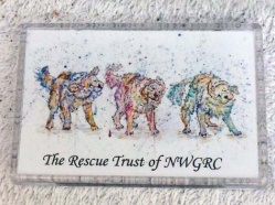 North-West-Golden-Retriever-Club-Rescue-Trust-18.jpg