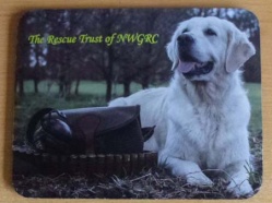 North-West-Golden-Retriever-Club-Rescue-Trust-4.jpg