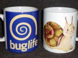 Buglife-2-Snail.jpg