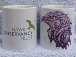 Hawk-Conservancy-Trust-4.jpg